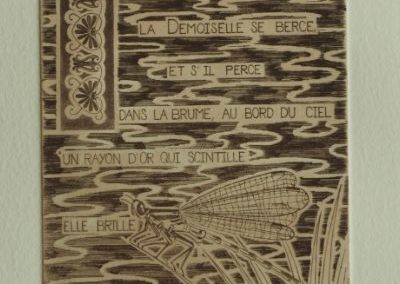 estampe "la demoiselle", représentant une libellule sur un fond de marais avec le texte suivant: la demoiselle se berce et s'il perce dans la brume au bord du ciel un rayon d'or qui scintille elle brille comme un regard d' Ariel.