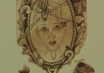 Estampe représentant un miroir ancien sur lequel des araignées ont fait leurs toiles. Les araignées sont traitées dans un style humoristique. Petits insectes se promenants dans le bas de l'image.