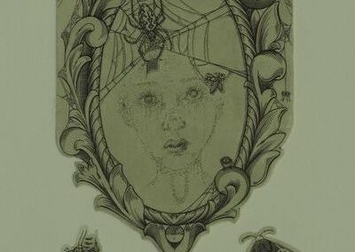 Estampe représentant un miroir ancien sur lequel des araignées ont fait leurs toiles. Les araignées sont traitées dans un style humoristique. Petits insectes se promenants dans le bas de l'image.